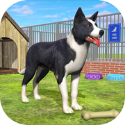 Pet Dog Shelter Cleaning Games