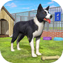 Pet Dog Shelter Cleaning Gamesicon