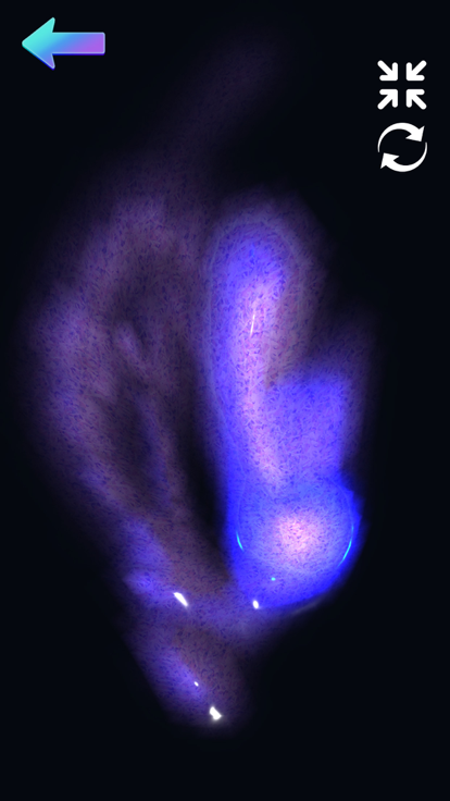 压力去！ ASMR 焦虑缓解游戏截图