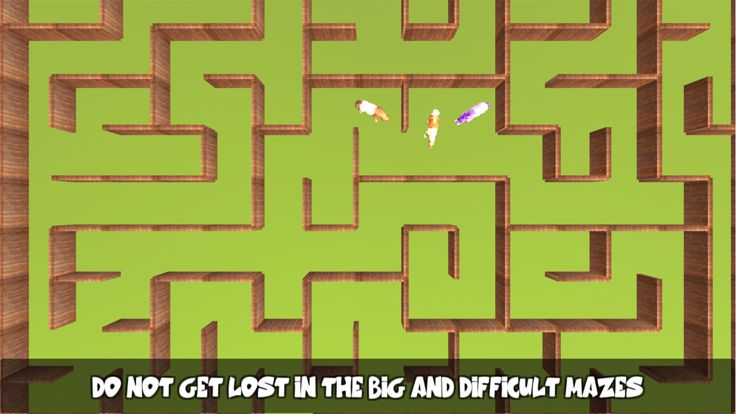 Pony Horse Maze Run游戏截图