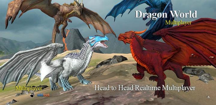 Dragon Multiplayer 3D游戏截图