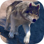 狼 动物 模拟 赛跑 游戏 的 三维icon