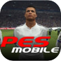 Evaluation Soccer Mobile 2017icon