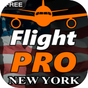 Pro Flight Simulator NY Free