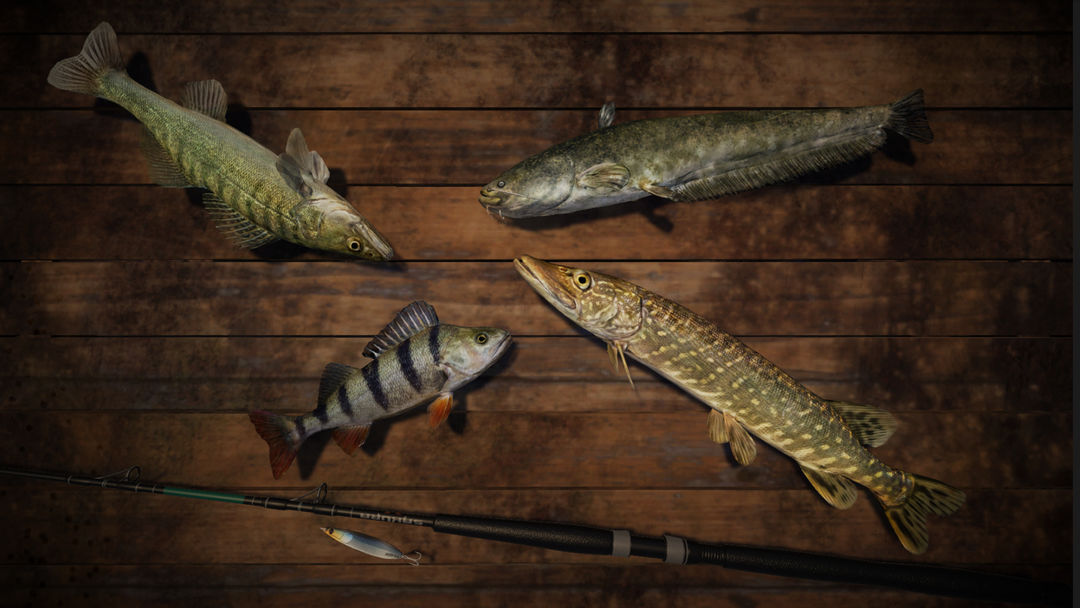 专业钓鱼游戏截图