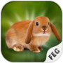 Escape Games - Rabbit Rivericon