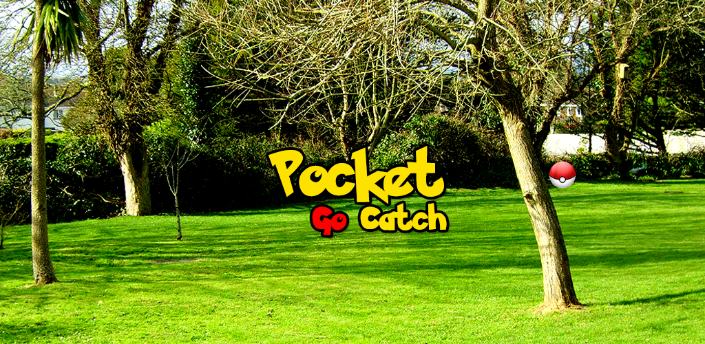 Pocket Go Catch游戏截图