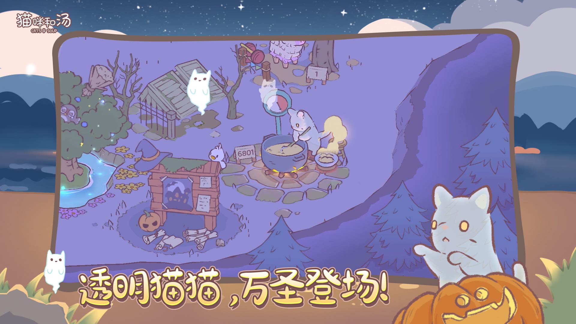 新猫咪！