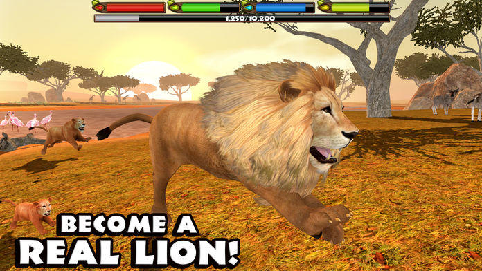 Ultimate Lion Simulator游戏截图