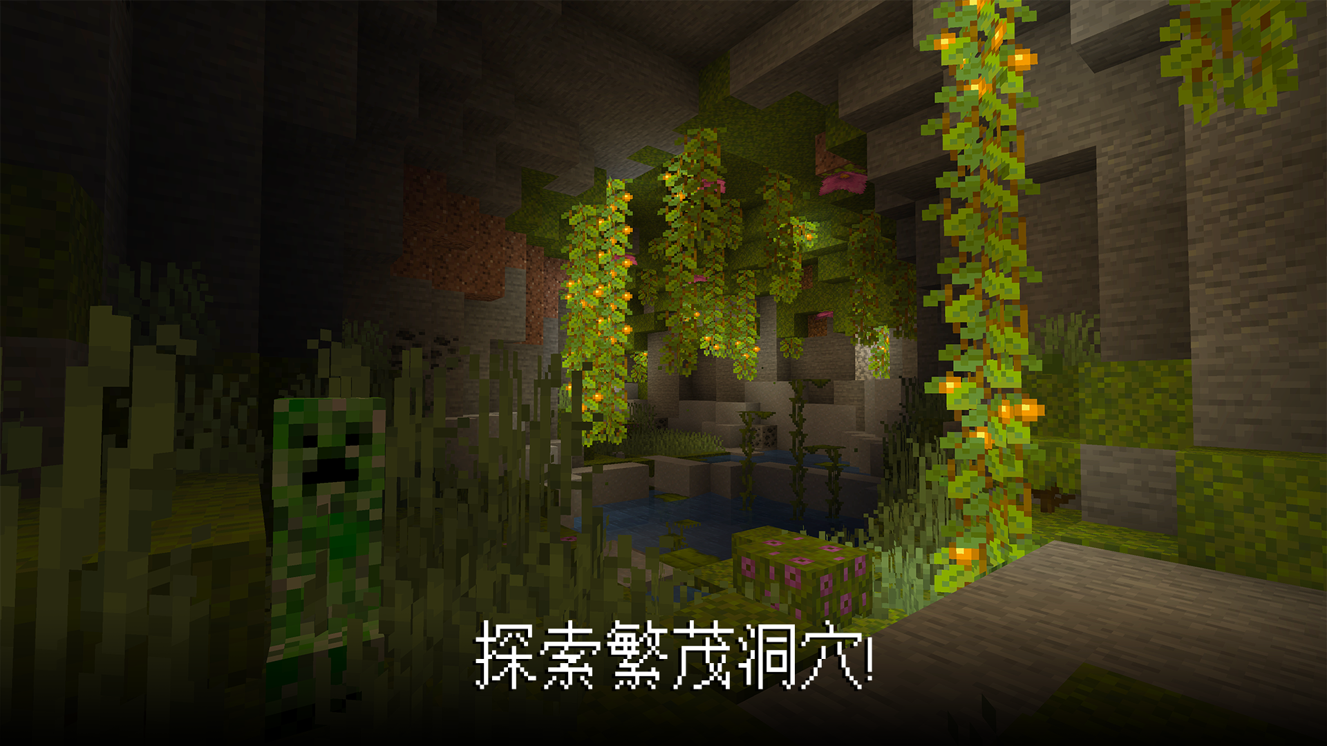 Minecraft游戏截图