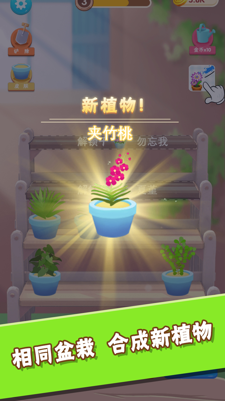 引水浇花游戏截图