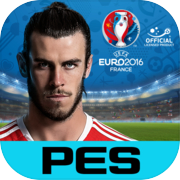 PES COLLECTION