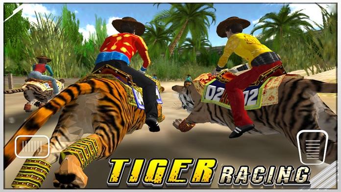 Tiger Racing : Simulator Race游戏截图