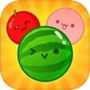 WaterMelon Game editionicon