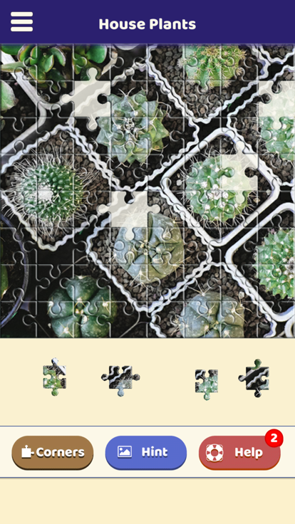 House Plants Puzzle游戏截图