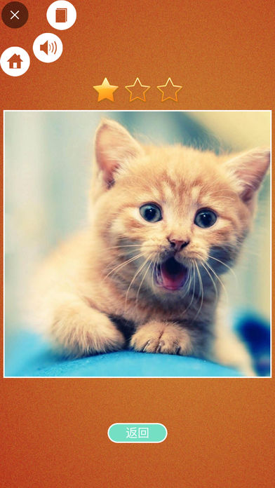 拼拼图游戏截图