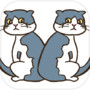 猫のまちがいさがしicon