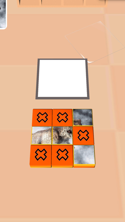 Flip Puzzle !!游戏截图