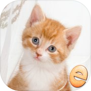 拼图神奇小猫拼图为孩子icon