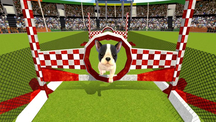 Puppy Show Simulator 3D游戏截图