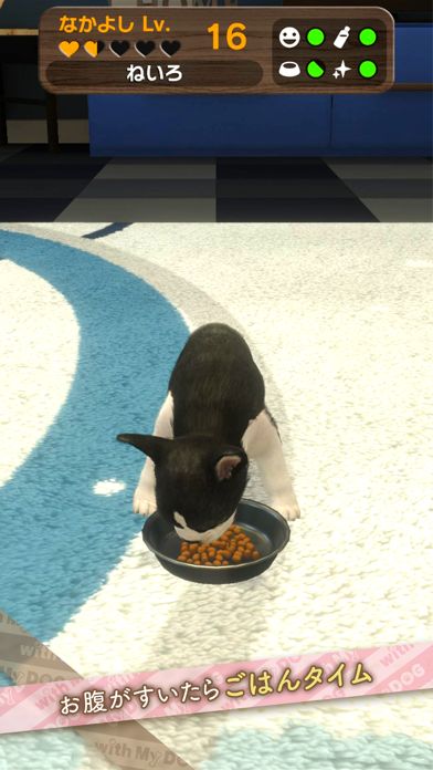 with My DOG - 犬とくらそう -游戏截图