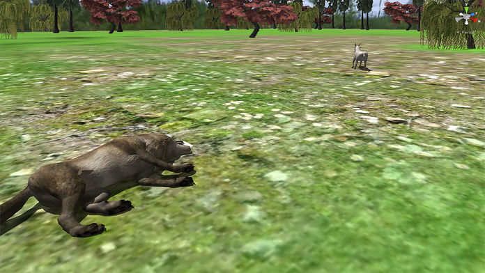 VR 野生动物 狙击手 射手 真实 狩猎 任务 Wildlife Sniper Shooter游戏截图