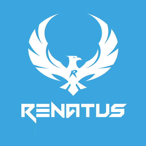Renatus Media LLC