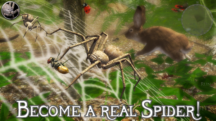Ultimate Spider Simulator 2游戏截图