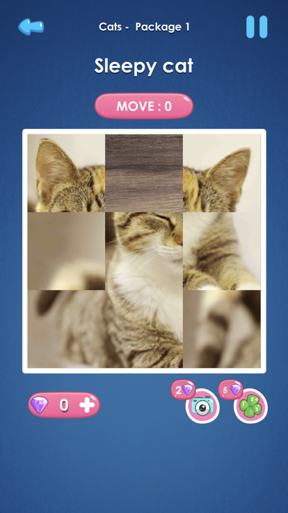 Slide Picture : Jigsaw Puzzle游戏截图