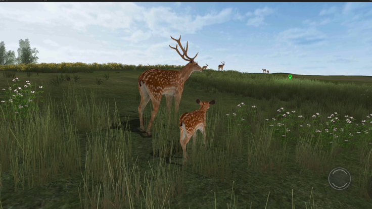 Life Of Deer Remastered游戏截图