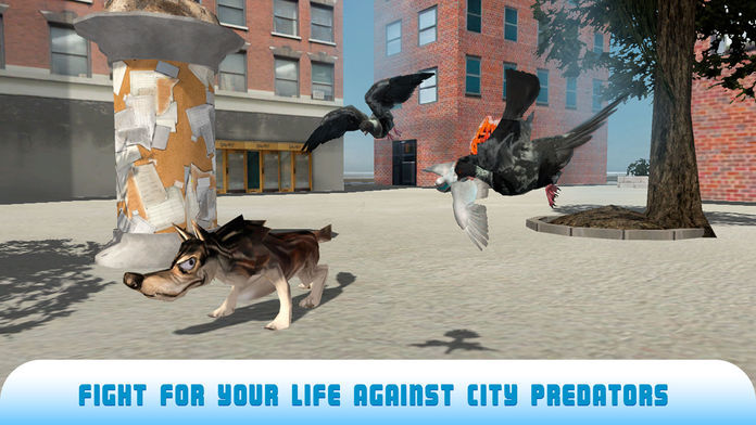Pigeon Bird Survival Simulator 3D 2 Full游戏截图