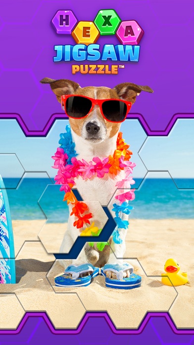 hexa jigsaw puzzle