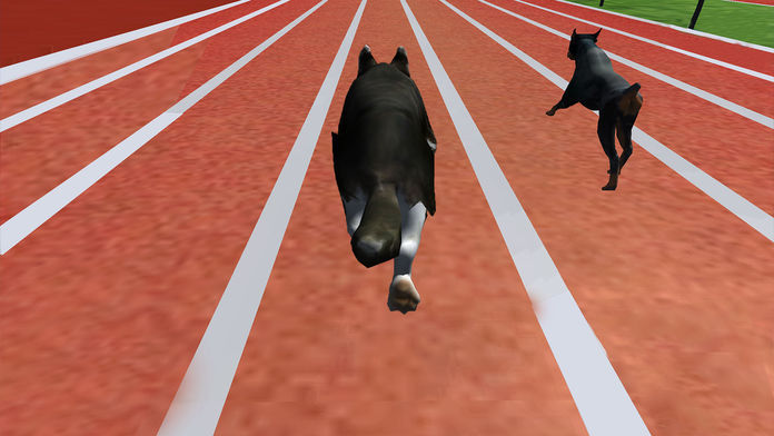 Ultimate Dog Racing : Virtual Stray Simulator 2017游戏截图