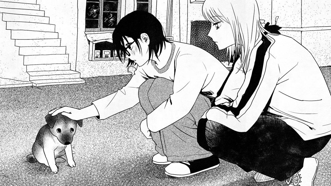 纸房子游戏截图