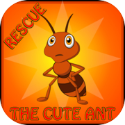 Rescue The Cute Ant