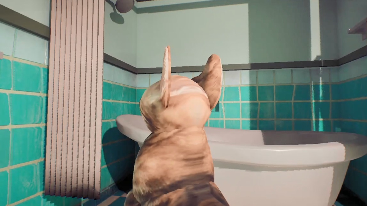 猫大人游戏截图