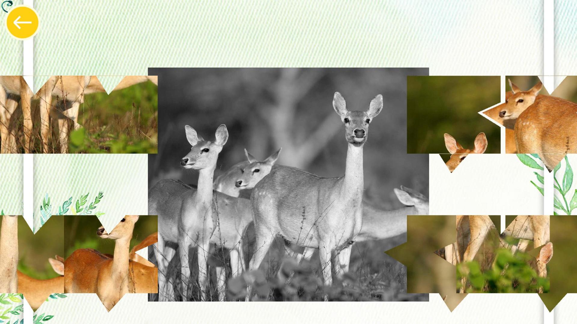 天天开心拼图HD游戏截图