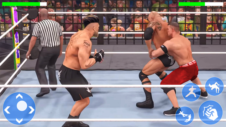 Real Wrestling Fighting 3D游戏截图