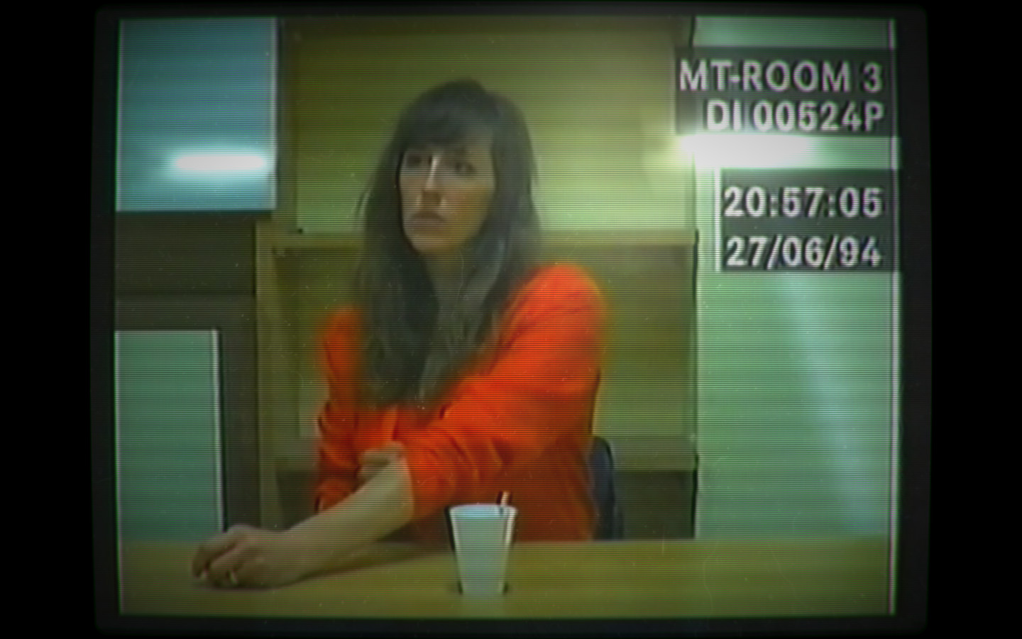 Her Story游戏截图