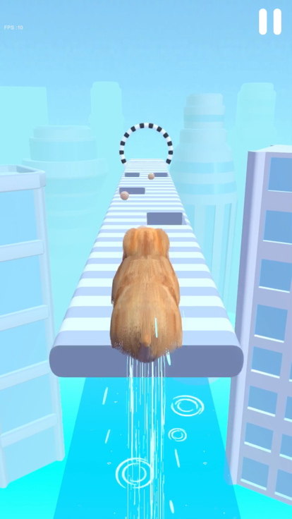 Fluffy Cat 3D游戏截图