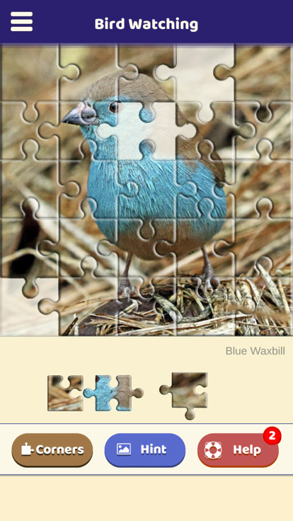 Bird Watching Puzzle游戏截图