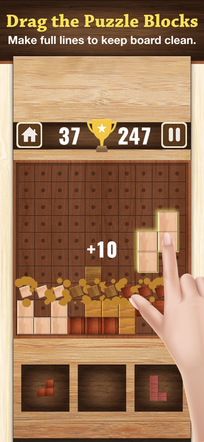 木块拼图 (Wooden Block Puzzle)游戏截图