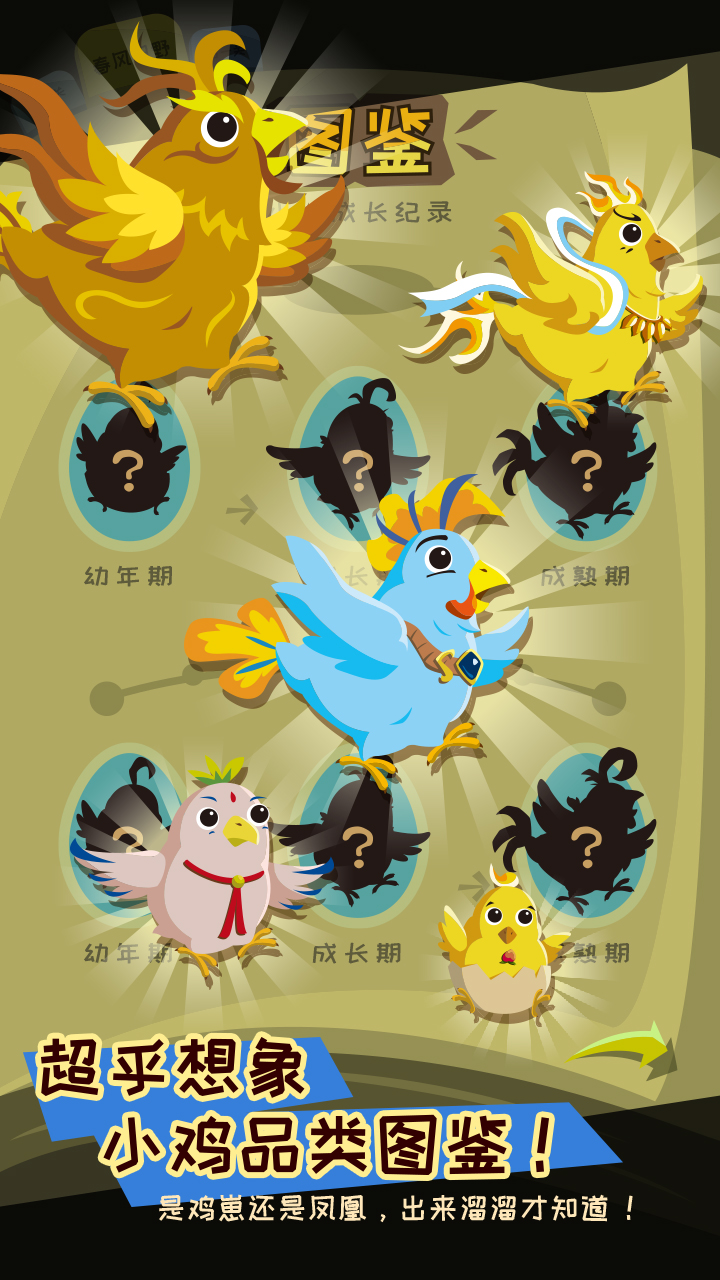 鸡不可失游戏截图