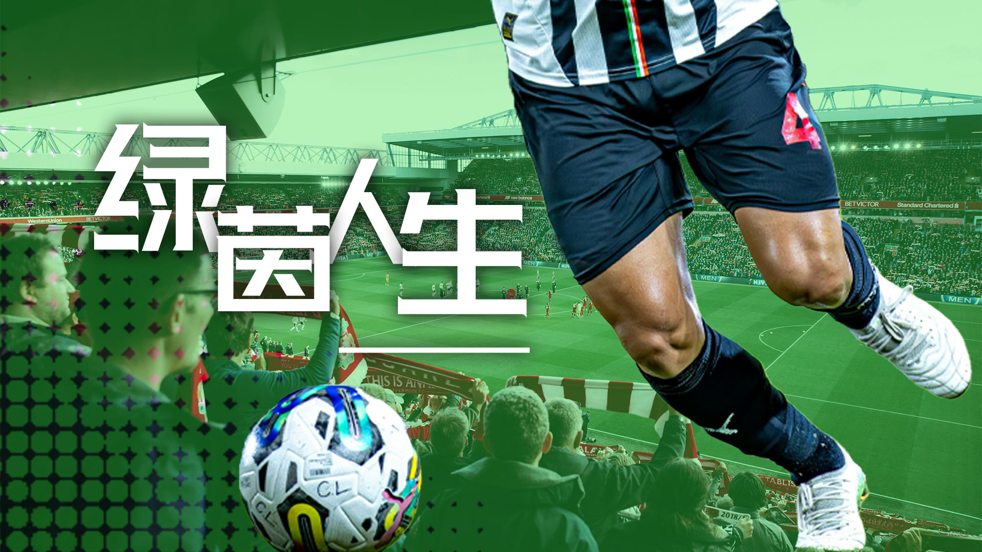 【公告】绿茵人生暂停下载，群内封测