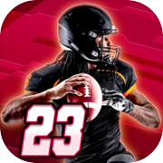 Flick Quarterback 17