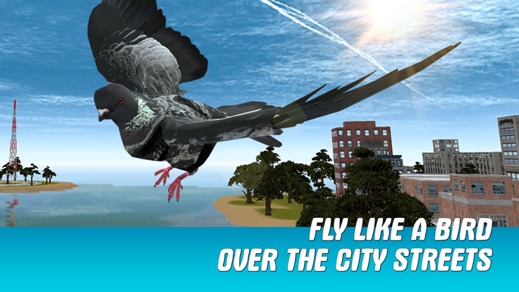 City Pigeon Simulator 3D游戏截图