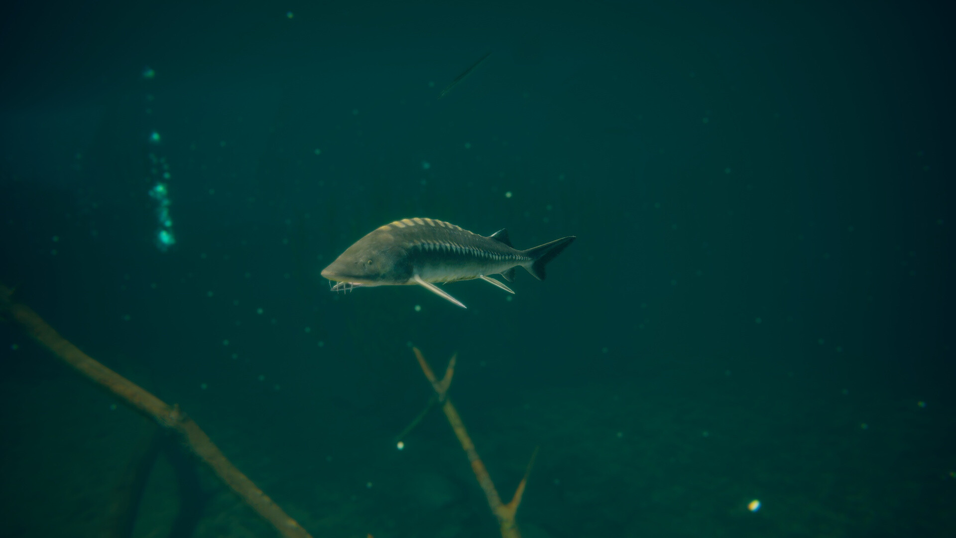 终极钓鱼模拟器2游戏截图