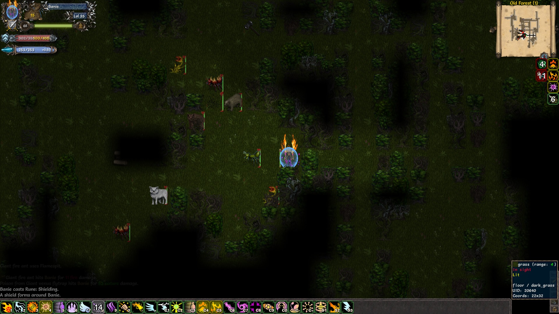 Tales of Maj'Eyal游戏截图