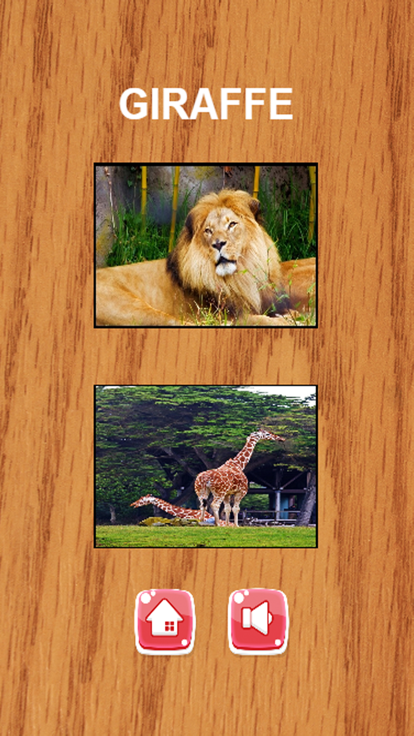 ENGLISH ANIMAL VOCABULARY AND MATCH GAME FOR KIDS游戏截图