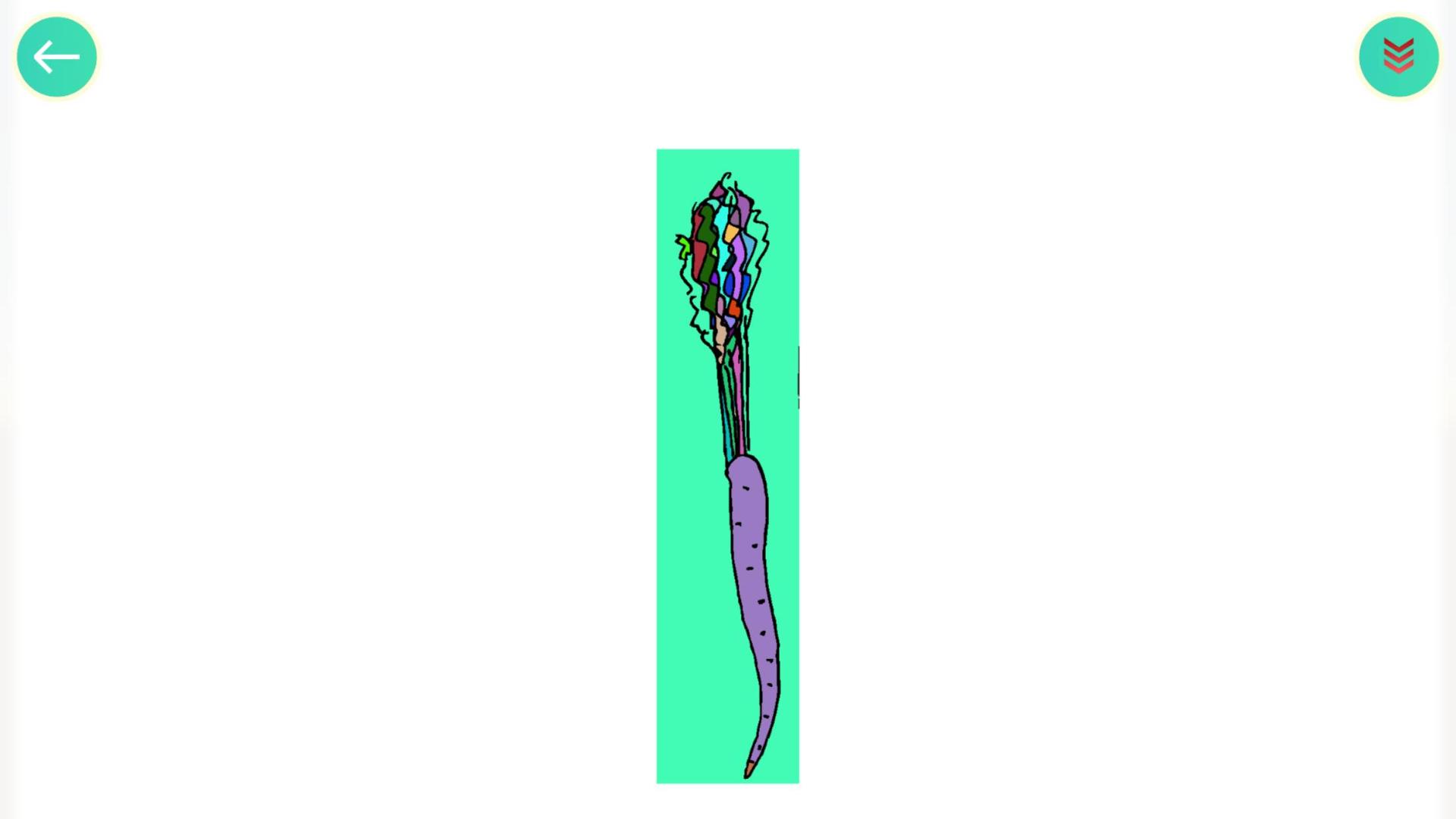 食物填色画画HD游戏截图